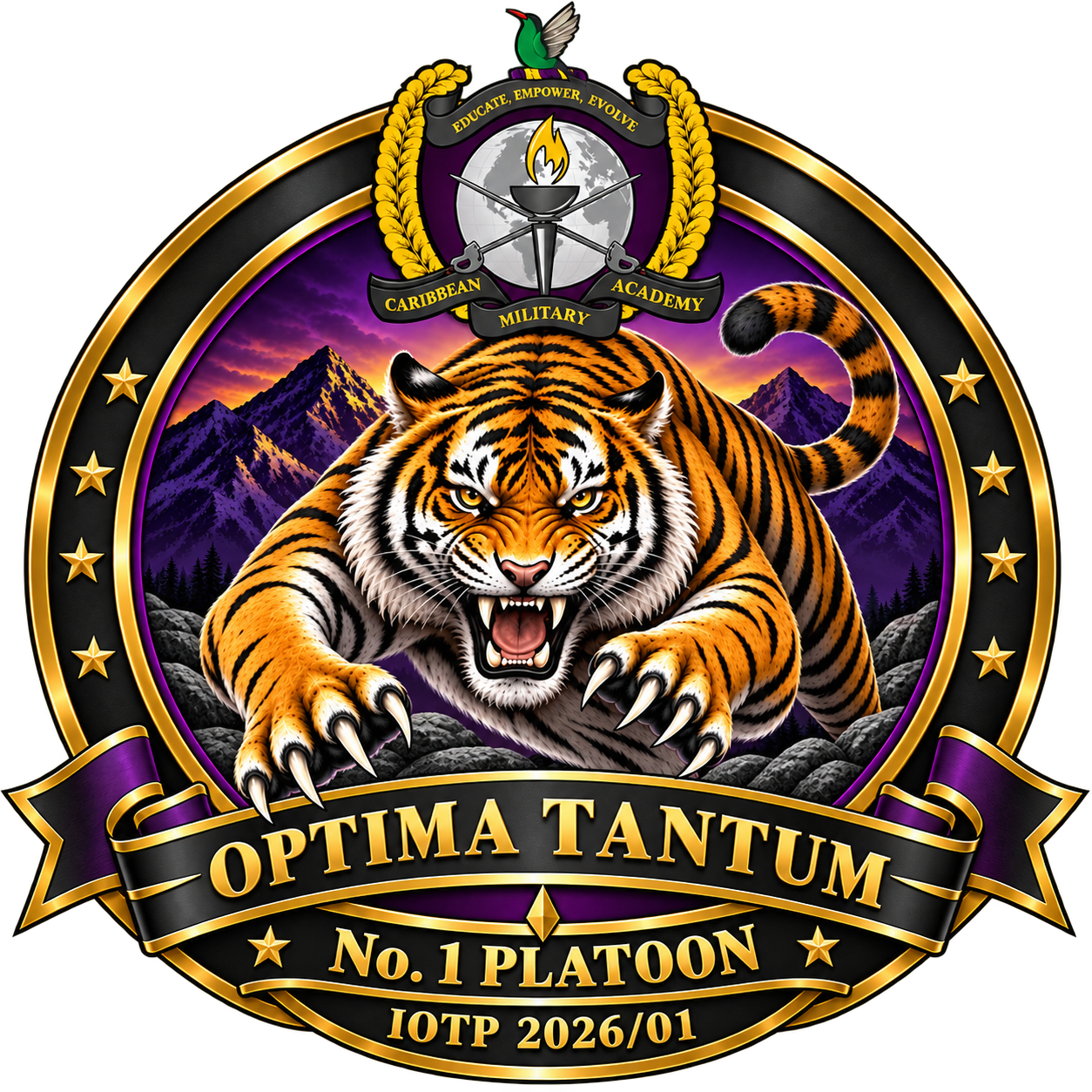 Number 1 Platoon logo